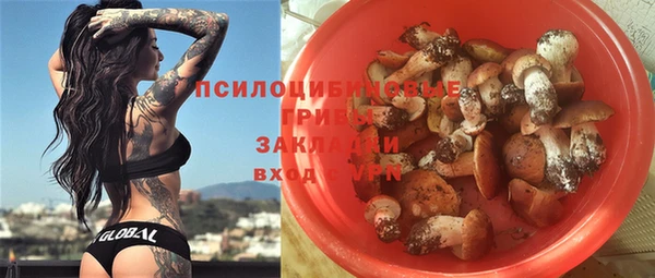 ешки Алексеевка