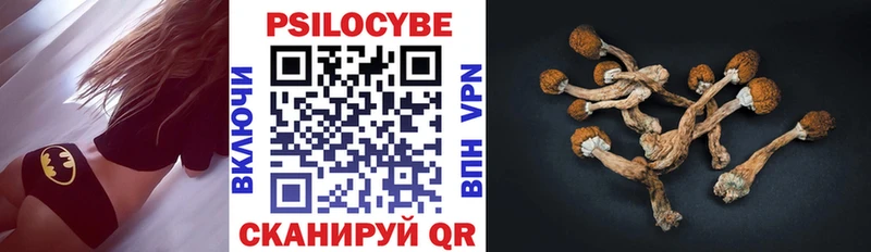 mega онион  Спасск  Псилоцибиновые грибы ЛСД 